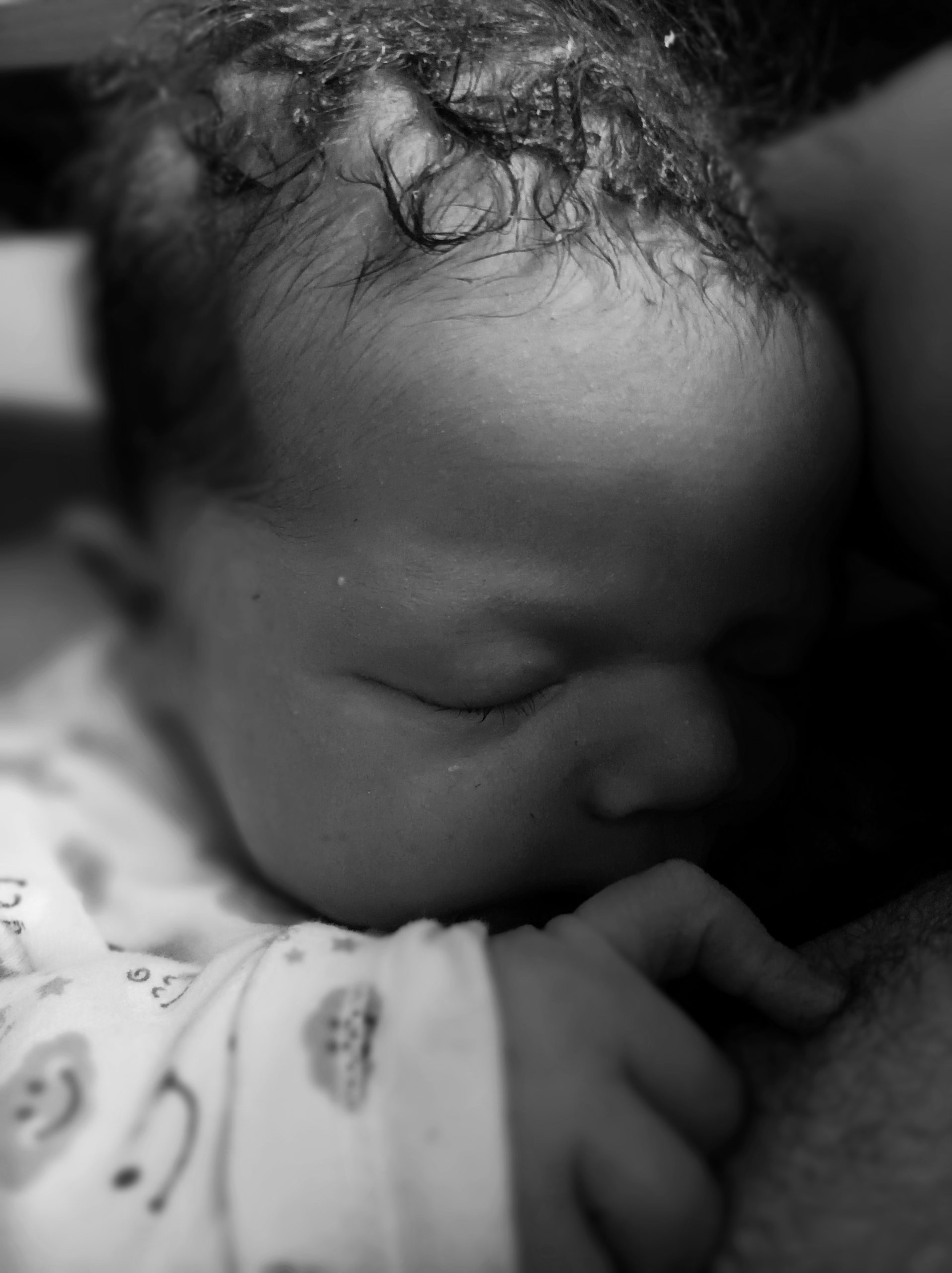 photo Noah 2